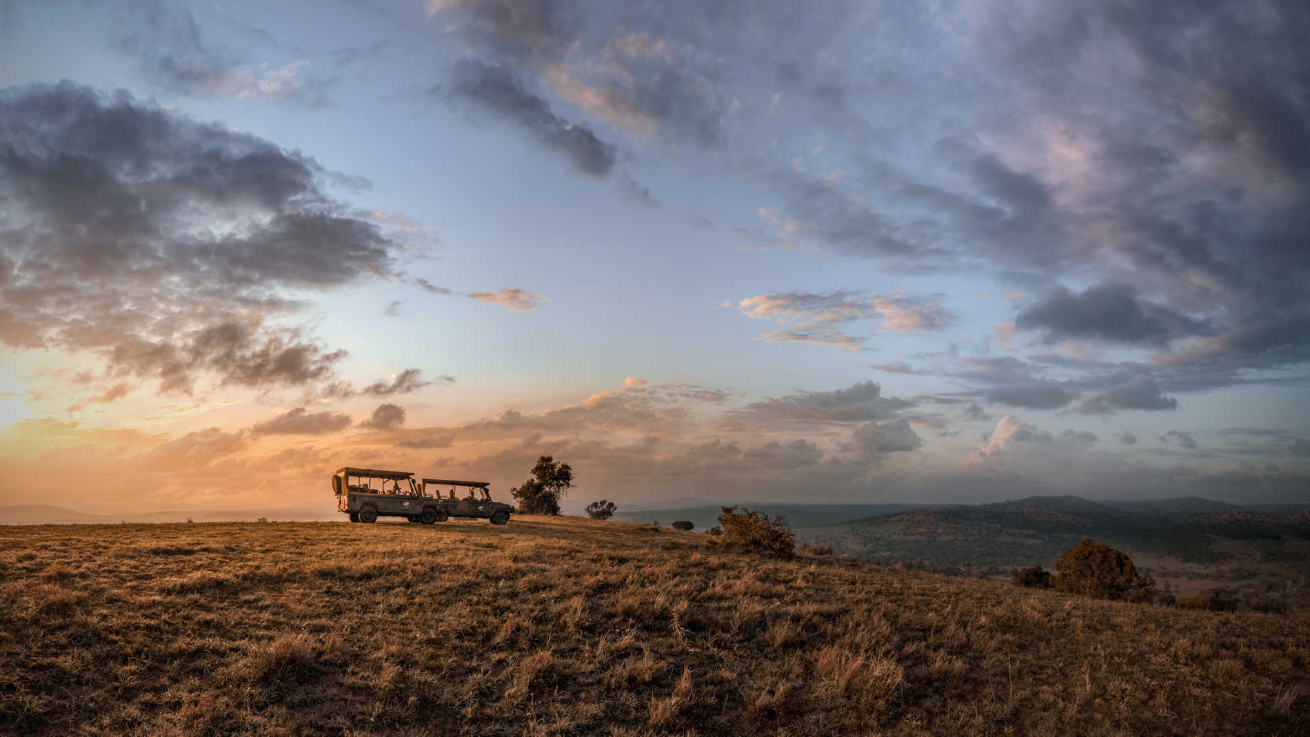 Game Drive Vehicles Lengishu © Backdrop Agency