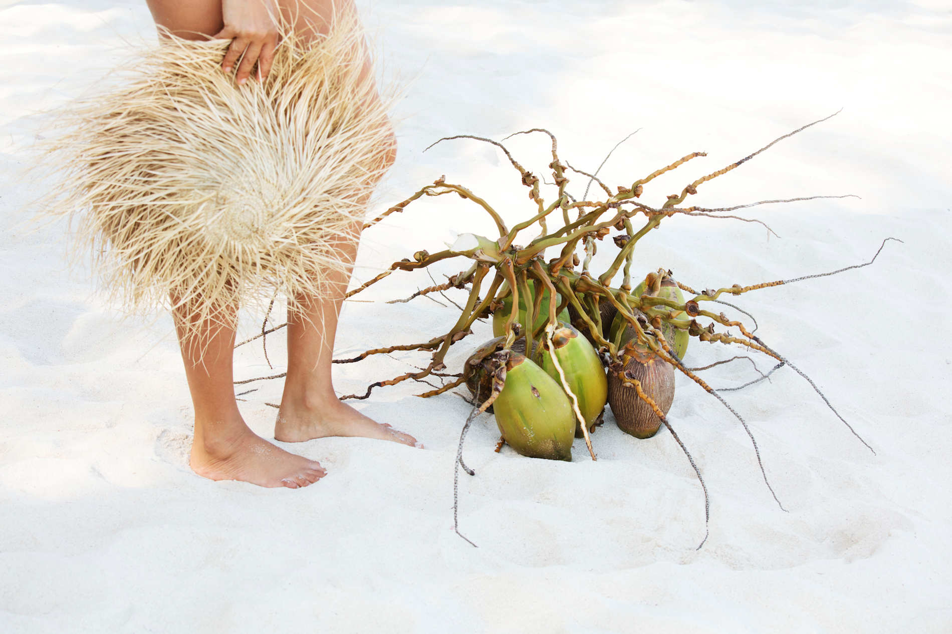 Kinondu Kwetu 2018 © Kinondo Kwetu Hotel