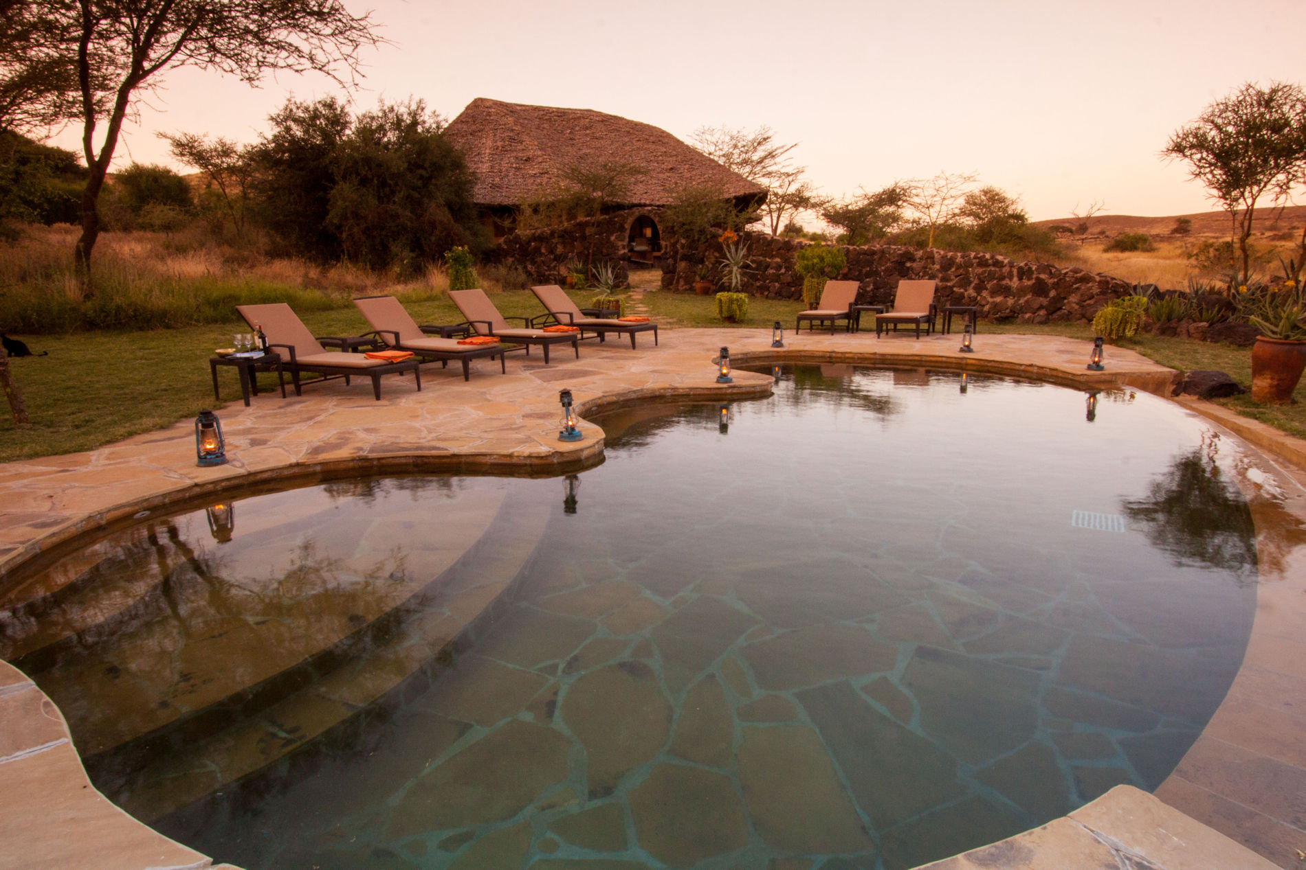 safari camp kenia