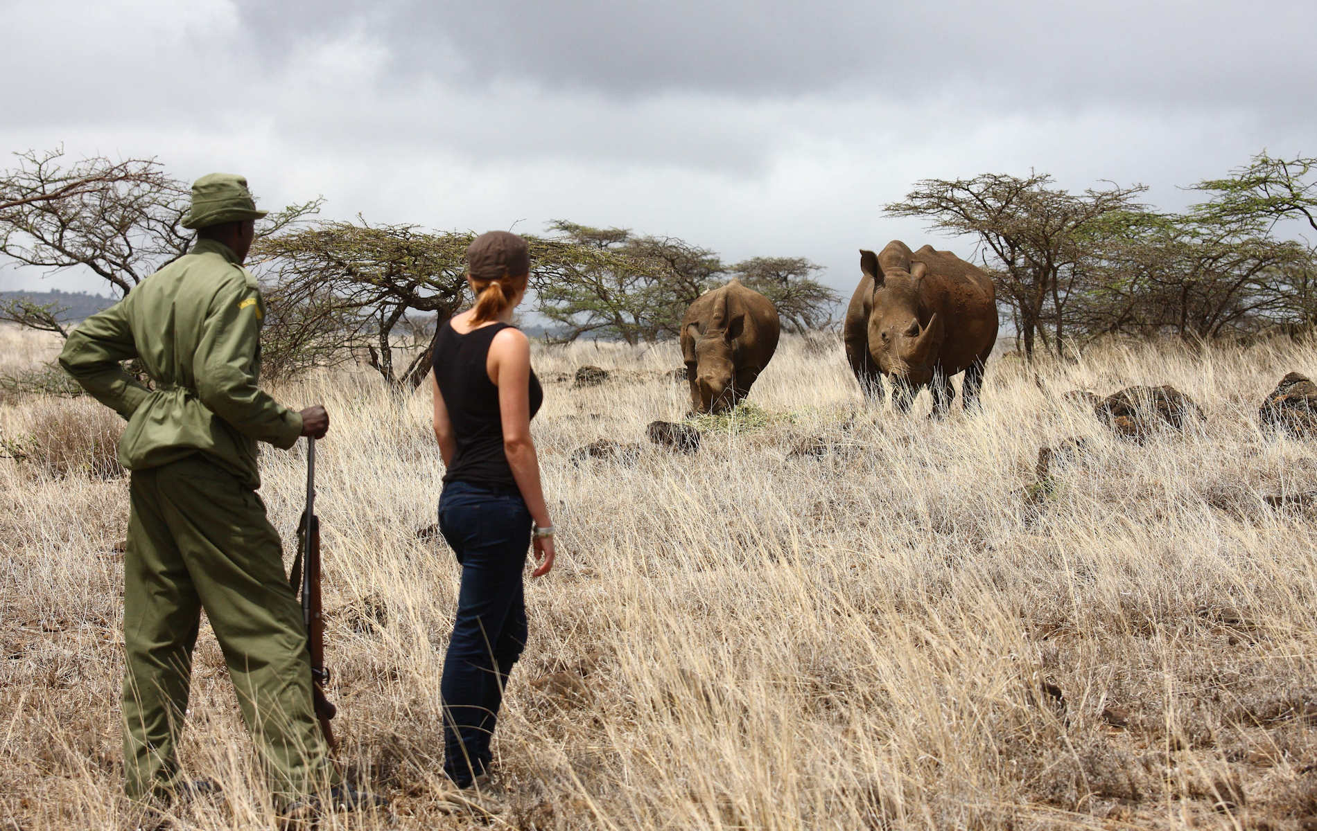Lewa Safari Camp Activities Bush Walk White Rhino 32