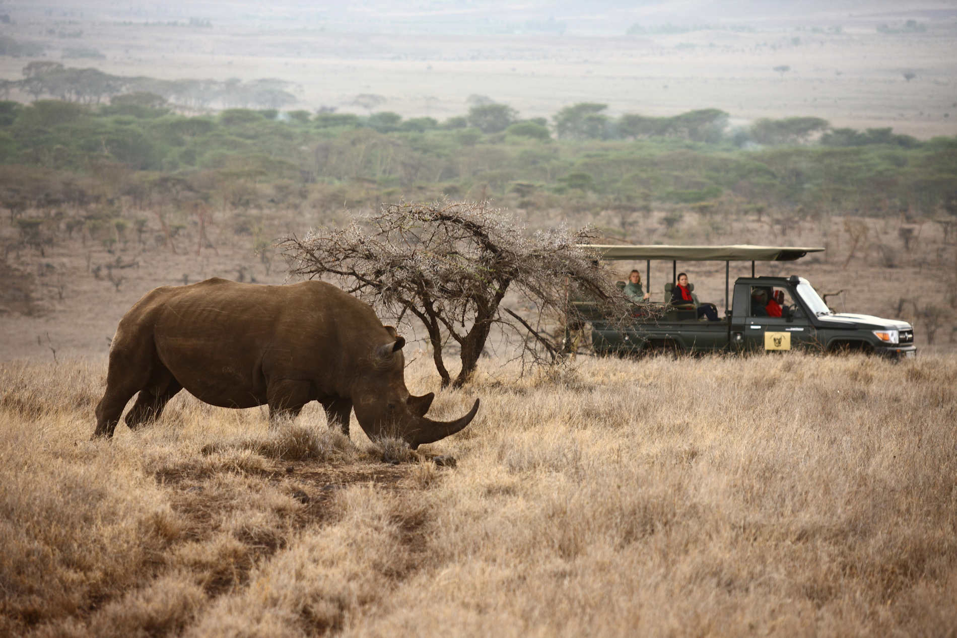 safari kenia 10 tage