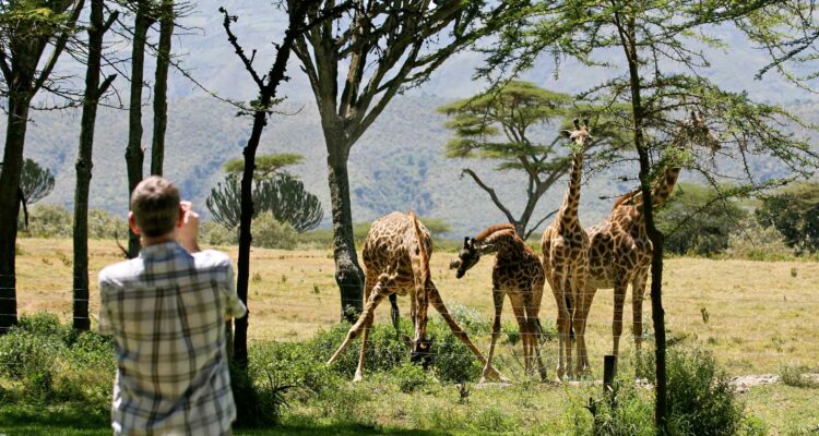 Game Viewing © Chui Lodge