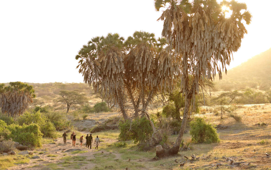 Mathews Mountain Kenia Safaris